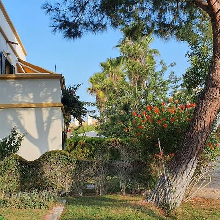 Nice 2 Bedroom Apartment Groundfloor Swimming Pool Tavira Extérieur photo